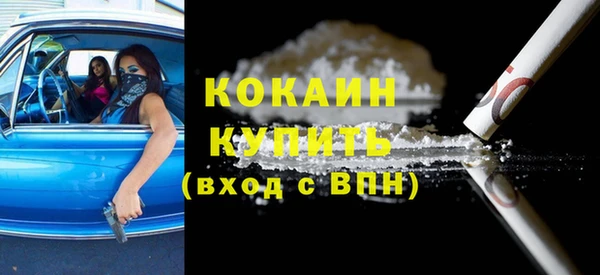 стафф Алексин