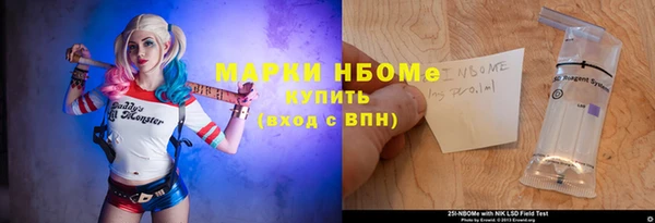 стафф Алексин