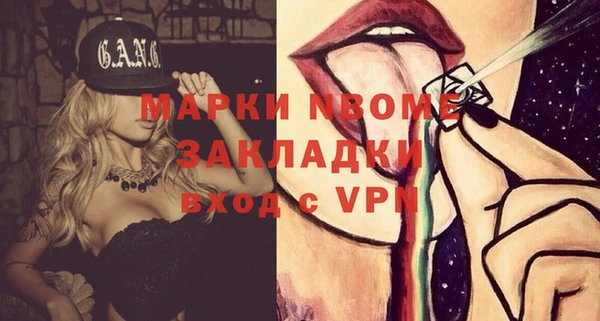 стафф Алексин