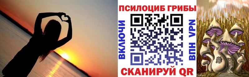 цены   Жигулёвск  Галлюциногенные грибы прущие грибы 
